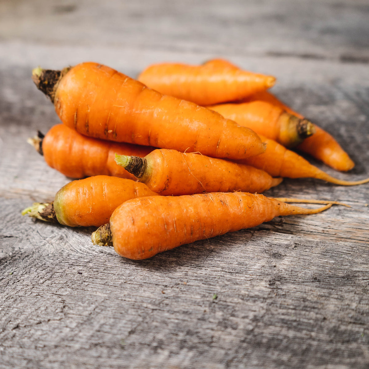 Carrots - 3/4 lb bag – Rose Creek Farms